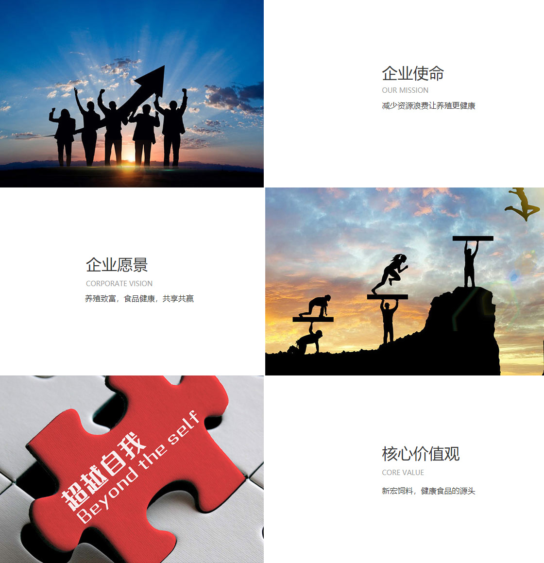 best365足球官网(图1)
